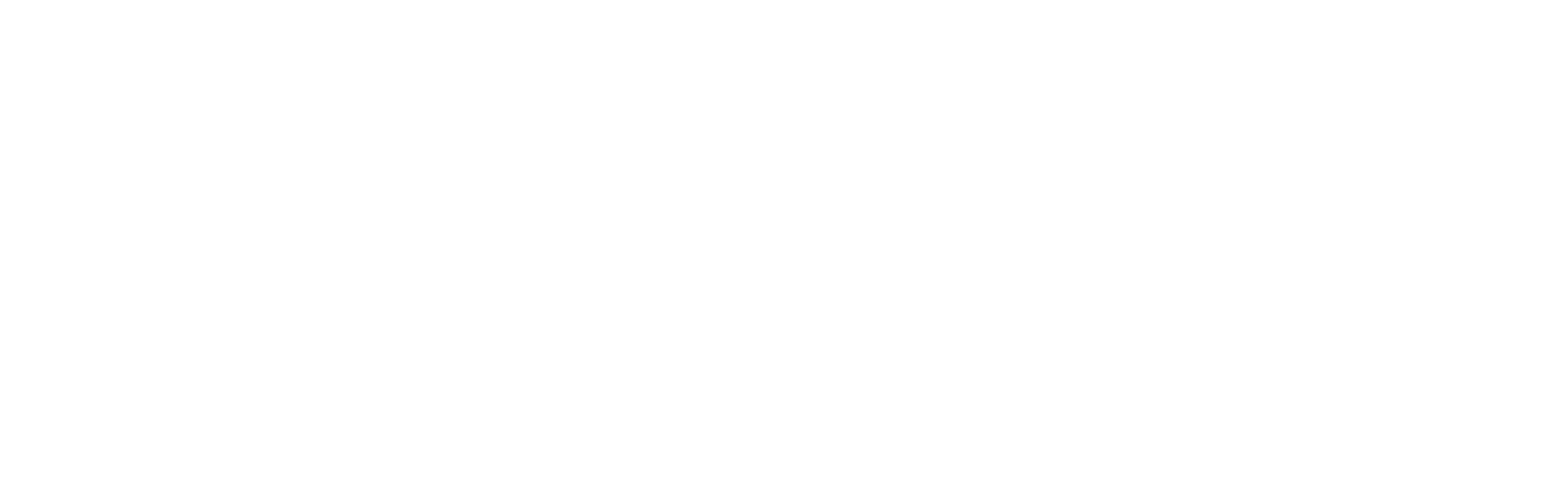 Nurbli Logo